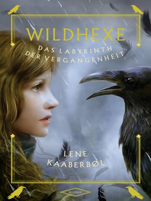 cover image of Wildhexe--Das Labyrinth der Vergangenheit